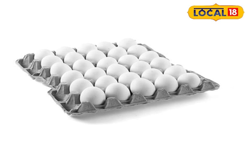 तुम्ही अंडी रेफ्रिजरेटरच्या बाहेर ठेवत असाल तर ती थंड, कोरड्या जागी ठेवा. त्यांना थेट सूर्यप्रकाश किंवा उष्णतेच्या संपर्कात आणल्याने अंडी लवकर खराब होऊ शकतात.