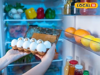 अंडी फ्रीजमध्ये साठवताय? ही योग्य पद्धत तुम्हाला माहित हवीच, अन्यथा होईल नुकसान