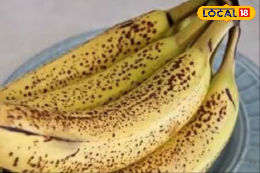 यानंतर चुलीवर एक मोठे तोंड असलेले पॅन ठेवा आणि त्यात अर्धा कप शुद्ध तूप गरम करा. तूप गरम झाल्यावर केळीची प्युरी घाला आणि मध्यम-कमी आचेवर सतत ढवळत राहा. हलवा जळू नये याची खात्री करा. सुमारे 10-15 मिनिटे शिजल्यानंतर ती हलकी सोनेरी रंगाची होईल आणि त्यातील कच्चा वास नाहीसा होईल.