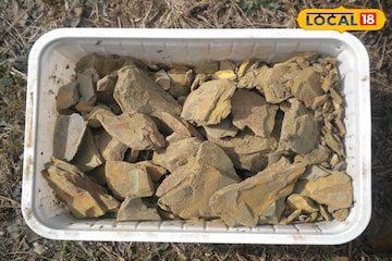 टाळूचा तेलकटपणा संपेल, केस होतील घनदाट! हिवाळ्यात मुलतानी मातीचा असा करा वापर टाळूचा तेलकटपणा संपेल, केस होतील घनदाट! हिवाळ्यात मुलतानी मातीचा असा करा वापर