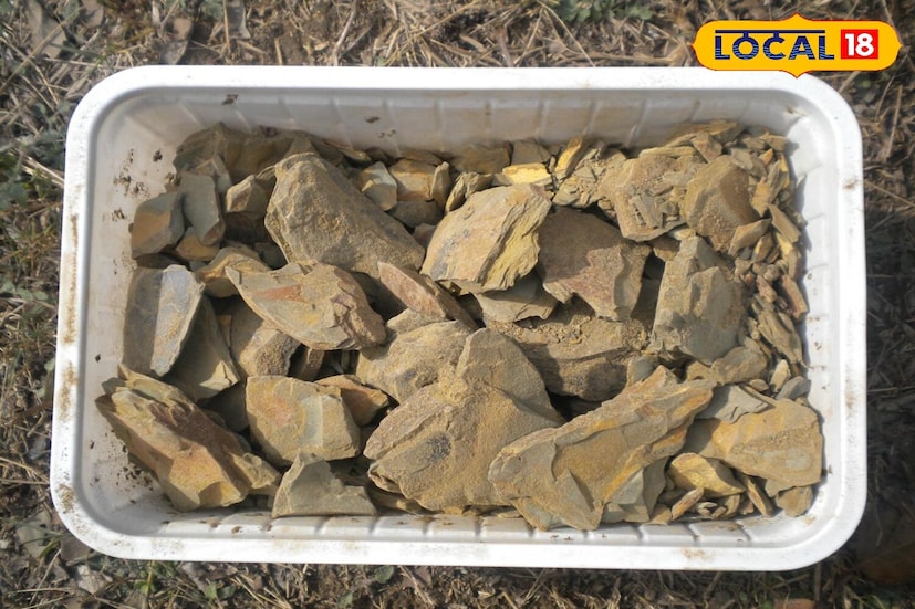 आजच्या धावपळीच्या जीवनशैलीमुळे वाढते प्रदूषण आणि भेसळयुक्त अन्न यामुळे आपल्या केसांचे आरोग्य सर्वात आधी बिघडते. लांब, जाड आणि चमकदार केसांचे स्वप्न प्रत्येकाचे असते, परंतु धूळ, प्रदूषण आणि रसायनांनी भरलेले केस उत्पादने हे स्वप्न भंग करतात. परिणामी केस निस्तेज होतात आणि गळू लागतात. तसेच टाळूला खाज सुटणे आणि कोंडा होणे ही सामान्य समस्या बनते. आजच्या धावपळीच्या जीवनशैलीमुळे वाढते प्रदूषण आणि भेसळयुक्त अन्न यामुळे आपल्या केसांचे आरोग्य सर्वात आधी बिघडते. लांब, जाड आणि चमकदार केसांचे स्वप्न प्रत्येकाचे असते, परंतु धूळ, प्रदूषण आणि रसायनांनी भरलेले केस उत्पादने हे स्वप्न भंग करतात. परिणामी केस निस्तेज होतात आणि गळू लागतात. तसेच टाळूला खाज सुटणे आणि कोंडा होणे ही सामान्य समस्या बनते.