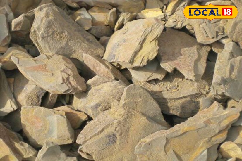 या समस्यांना तोंड देण्यासाठी लोक महागडे केसांचे सीरम, शाम्पू आणि विविध उपचारांवर हजारो रुपये खर्च करतात, परंतु नैसर्गिक आणि कायमस्वरूपी उपाय बहुतेकदा अशक्य असतो. केसांची खरी ताकद तेव्हाच येते जेव्हा टाळू, केसांची मुळे स्वच्छ आणि योग्यरित्या पोषित असतात. ही गरज समजून घेऊन अनेक जण पुन्हा एकदा जुन्या आयुर्वेदिक उपायांकडे वळत आहेत. आयुर्वेदिक उपायांच्या या खजिन्यात एक अमूल्य घटक आहे जो केवळ त्वचेसाठीच नाही तर केसांसाठी देखील 