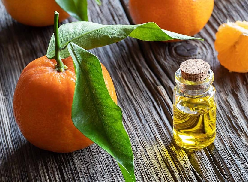 नैसर्गिक आणि घरगुती उपाय1. संत्र्याचं तेल (Orange Oil):
संत्र्याच्या तेलात डी-लिमोनीन (D-Limonene) असतं, जे वाळवीसाठी घातक असतं. प्रभावित भागावर हलक्या हाताने लावा; काही वेळात परिणाम दिसेल.