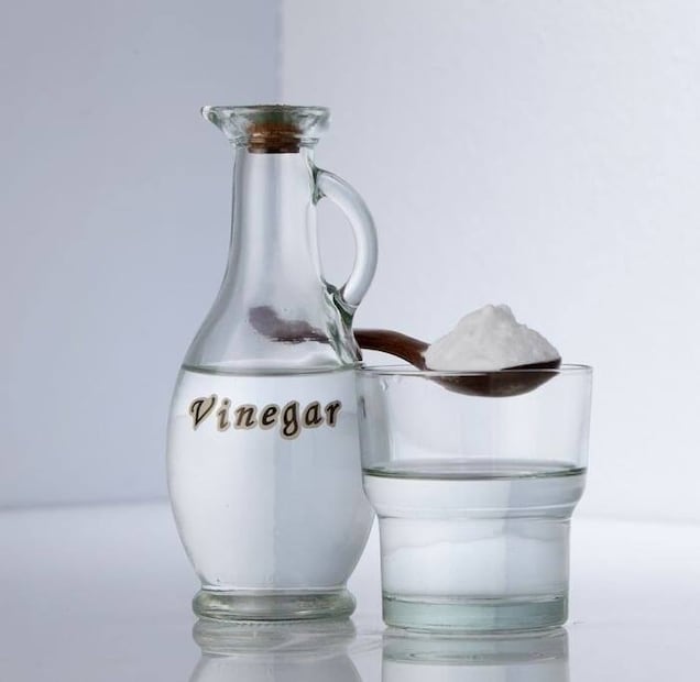 2. विनेगर (Vinegar):एक स्प्रे बाटलीत थोडं पाणी आणि विनेगर मिसळा आणि लाकडाच्या पृष्ठभागावर फवारणी करा. हे नैसर्गिक कीटकनाशक आहे.