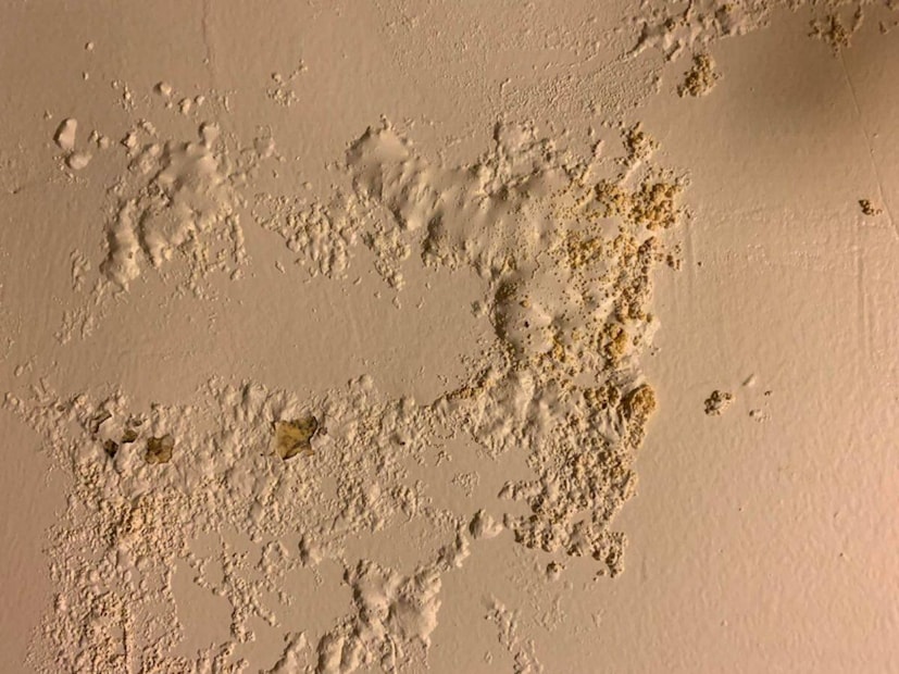 वाळवी ही पर्यावरणासाठी उपयुक्त असले तरी घरात ते संकट बनतात. जंगलात ते मृत झाडं आणि लाकडाचं विघटन करून जमिनीत पोषक तत्वं परत पाठवतात, पण घरात आले की तीच सवय विध्वंसात बदलतं. त्यामुळे घर आणि फर्निचरचं रक्षण करण्यासाठी योग्य देखभाल गरजेची आहे.