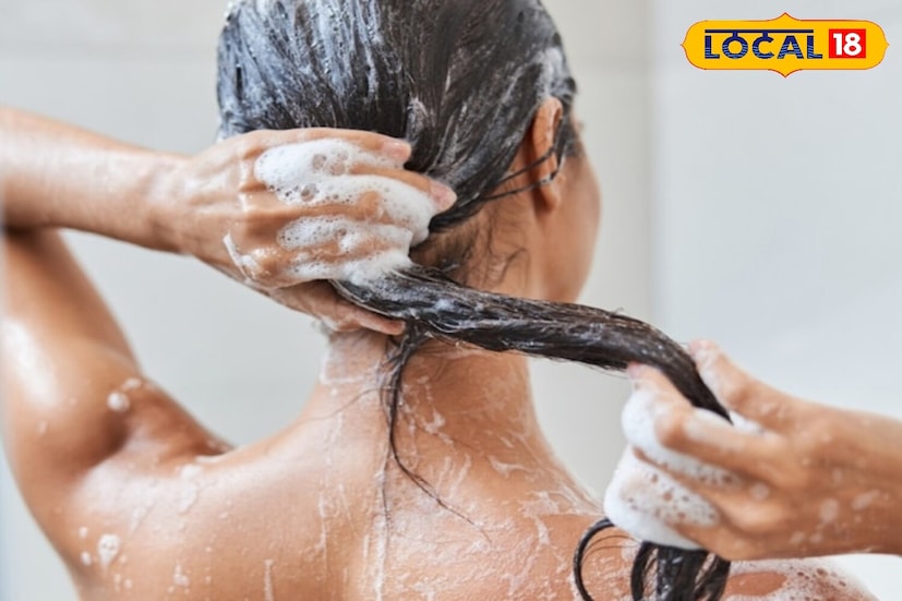 तुमचे केस जास्त तेलकट किंवा जास्त कोरडे नसतील तर आठवड्यातून 2 ते 3 वेळा केस धुवावेत. ही पद्धत टाळू स्वच्छ ठेवते आणि त्यांची नैसर्गिक चमक टिकवून ठेवते, ज्यामुळे ते मजबूत राहतात.