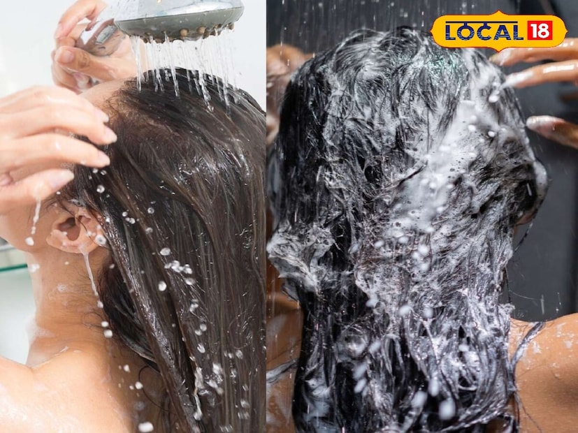 तुमचे केस तेलकट असतील तर तुम्ही ते दर दोन ते तीन दिवसांनी एकदा धुवावे. तेलकट केस जास्त सेबम (नैसर्गिक तेल) तयार करतात, ज्यामुळे ते लवकर तेलकट आणि घाण दिसू शकतात. दर तीन दिवसांनी तुमचे केस धुतल्याने तुमची टाळू फ्रेश आणि निरोगी राहण्यास मदत होते. मात्र खूप कठोर शॅम्पू वापरू नका. कारण यामुळे टाळूतील नैसर्गिक तेल निघून जाऊ शकते.