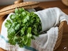 फक्त चवीसाठी नाही, 'या' आरोग्य फायद्यांसाठी खा कोथिंबीर; फायदे वाचून थक्क व्हाल