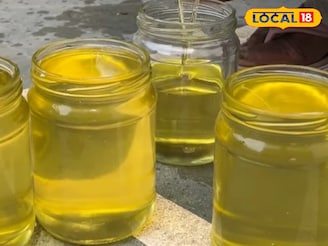 रोज चपातीवर तूप लावून खाणं आरोग्यासाठी खरंच फायदेशीर आहे? किती प्रमाण योग्य?