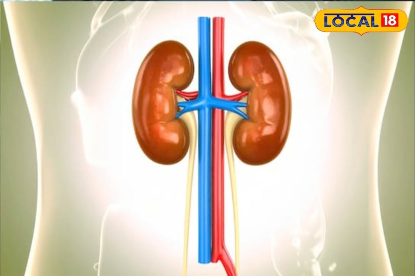 मूत्रपिंड संरक्षण : भेंडीचे पाणी मूत्रपिंडांना नुकसान करणाऱ्या विषारी पदार्थांपासून वाचवते. ते त्यांना निरोगी ठेवण्यास आणि चांगल्या प्रकारे कार्य करण्यास मदत करू शकते.