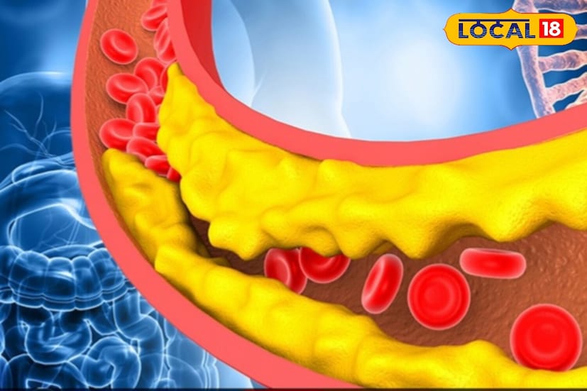 कोलेस्टेरॉल नियंत्रण : भेंडीमध्ये एक चिकट पदार्थ असतो, जो आतड्यांमधील वाईट कोलेस्टेरॉल (LDL) ला बांधतो आणि शरीरातून ते काढून टाकण्यास मदत करतो. यामुळे हृदयाचे आरोग्य सुधारते.