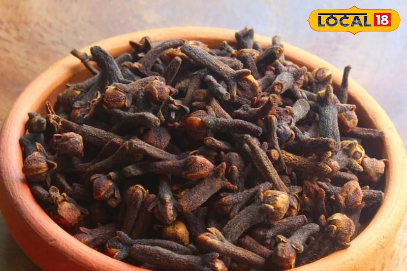 Disclaimer : या बातमीत दिलेली माहिती आणि आरोग्याशी संबंधित सल्ला तज्ञांशी झालेल्या संभाषणांवर आधारित आहे. ही सामान्य माहिती आहे, वैयक्तिक सल्ला नाही. म्हणून, डॉक्टरांचा सल्ला घेतल्यानंतरच काहीही वापरा. त्याच्या वापरामुळे होणाऱ्या कोणत्याही नुकसानासाठी लोकल-18 जबाबदार राहणार नाही. 