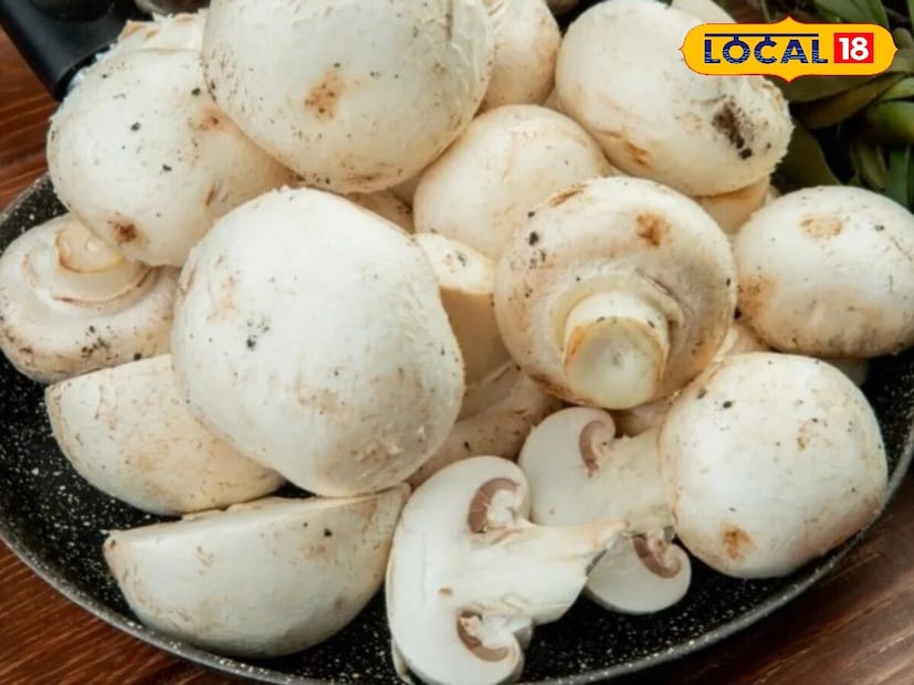 हिवाळ्यात हाडांचा कडकपणा आणि वेदना सामान्य आहेत, विशेषतः त्या भागात जिथे सूर्यप्रकाश कमी असतो. अशा परिस्थितीत, मशरूम सूप तुमच्या हाडांचा मित्र बनू शकतो. त्यात असलेले व्हिटॅमिन डी कॅल्शियम शोषण वाढवून हाडांची ताकद दुप्पट करते. याव्यतिरिक्त, त्यात असलेले फॉस्फरस आणि पोटॅशियम हाडे आणि स्नायूंचा थकवा दूर करण्यास मदत करतात. हिवाळ्यात व्हिटॅमिन डीची कमतरता टाळण्यासाठी दररोज एक वाटी मशरूम सूप खूप प्रभावी आहे.