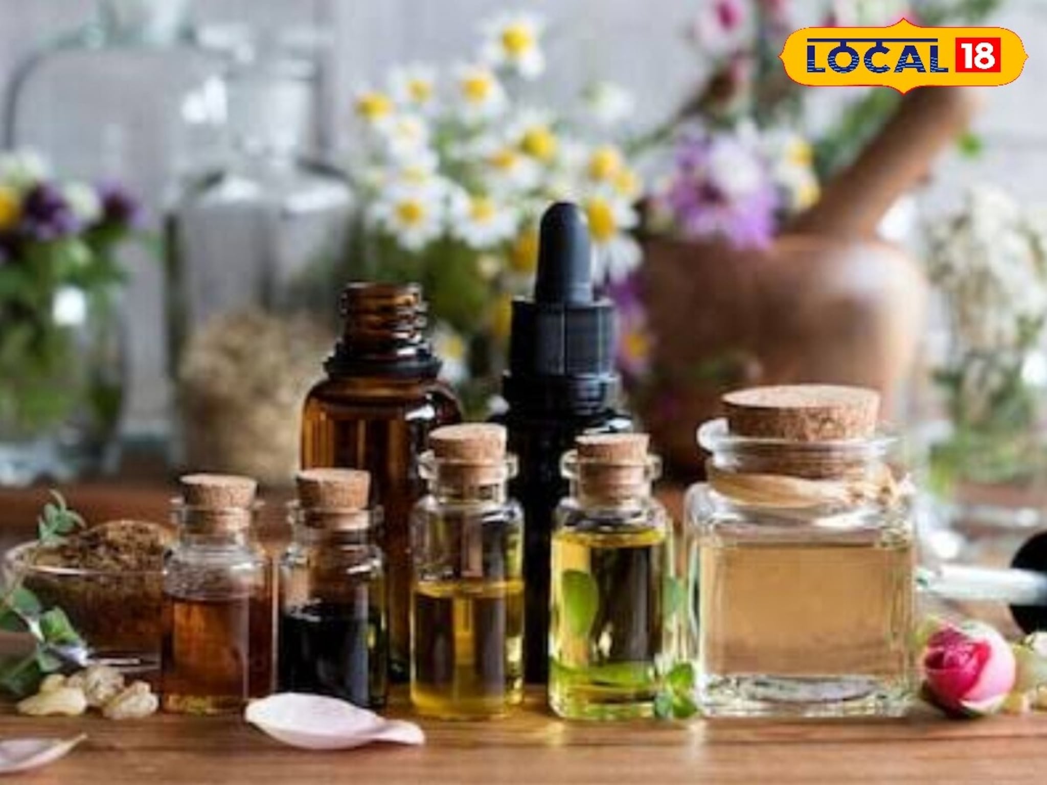 Natural Air Freshener : महागडे रूम फ्रेशनर्स विसरा; बनवा 'हे' घरगुती स्प्रे, कोणतीही दुर्गंधी क्षणात करेल दूर!