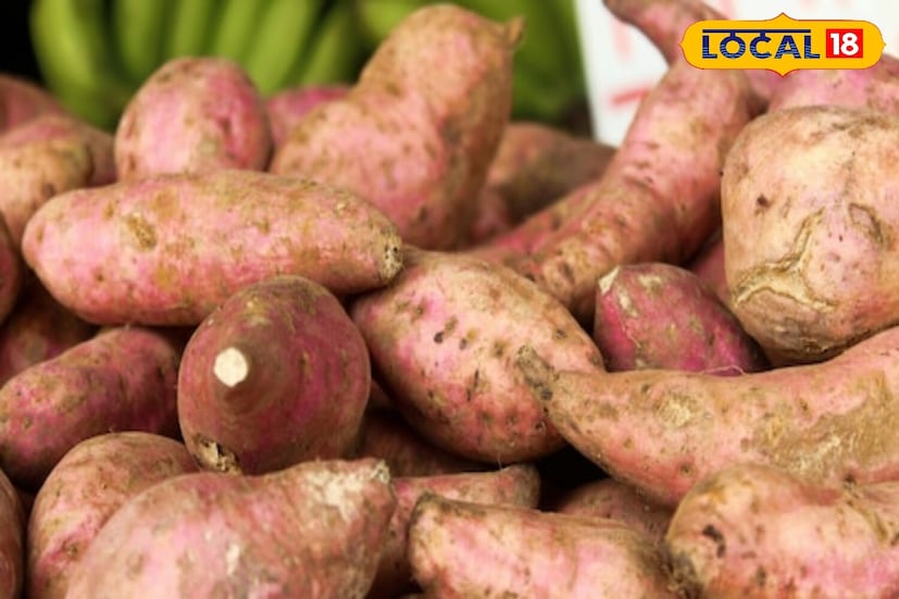 आरोग्य तज्ज्ञ डॉ. प्रिया यांनी स्पष्ट केले की, रताळे डोळ्यांसाठी देखील अत्यंत फायदेशीर आहेत, कारण त्यांच्यातील बीटा-कॅरोटीनचे प्रमाण दृष्टी सुधारण्यास मदत करते. शिवाय, ते पचनक्रियेला देखील चालना देतात. कारण त्यांच्यातील फायबर पचनसंस्थेला बळकटी देतात. जळजळ असलेल्या लोकांना त्यांच्या आहारात त्यांचा समावेश करण्याचा सल्ला दिला जातो. 