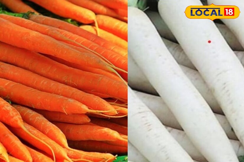 गाजर आणि मुळा आपल्या शरीराची रोगप्रतिकारक शक्ती वाढवतात. गाजरातील जीवनसत्त्वे अ, क आणि अँटीऑक्सिडंट्स शरीराची रोगप्रतिकारक शक्ती मजबूत करतात. हे सर्दी आणि फ्लू टाळण्यास मदत करतात.