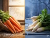 हिवाळ्यात गाजर खावं की मुळा? वजन कमी करण्यासाठी कोणते जास्त फायदेशीर?