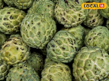 चांगलं पिकलेलं आणि गोड सीताफळ कसं ओळखावं? 'या' टिप्सने काही सेकंदात कळेल..