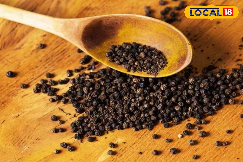 शुद्ध काळी मिरी बिया गडद काळ्या, सुरकुत्या आणि आकाराने जवळजवळ एकसारख्या असतात. तुम्हाला खरेदी केलेल्या बियांमध्ये तपकिरी किंवा हलक्या काळ्या रंगाचे गुळगुळीत, पूर्णपणे गोल बिया दिसल्या तर ते बहुतेकदा वाळलेल्या पपईच्या बिया असतात. पपईच्या बिया काळ्या बियांपेक्षा किंचित लहान आणि हलक्या असतात. बारकाईने तपासणी केल्यास खऱ्या आणि बनावट बियांच्या पृष्ठभागाच्या पॅटर्न आणि रंगातील फरक सहजपणे ओळखता येतो, ज्यामुळे त्यांच्या शुद्धतेचा पुरावा मिळतो.