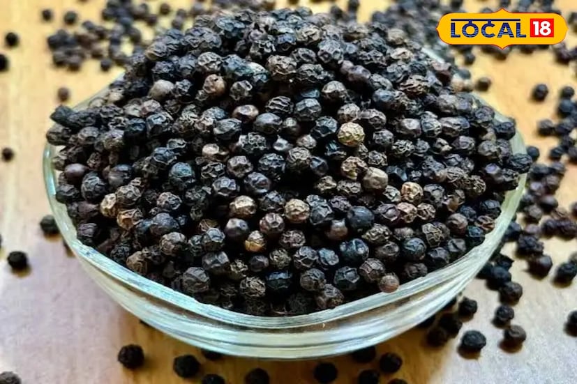 मिरचीची शुद्धता तपासण्याचा सर्वात सोपा मार्ग म्हणजे पाणी वापरणे. हे करण्यासाठी एक ग्लास पाणी घ्या आणि त्यात एक चमचा काळी मिरी घाला. खऱ्या काळी मिरी वजनाने हलके असतात, त्यामुळे ते पृष्ठभागावर तरंगतात. मात्र बनावट किंवा भेसळयुक्त काळी मिरी (बहुतेकदा वाळलेल्या पपईच्या बिया असलेले) पाण्यात बुडतील. कारण पपईच्या बियांची घनता काळ्या मिरीपेक्षा जास्त असते. या चाचणीत काही मिनिटांत भेसळ आढळते.