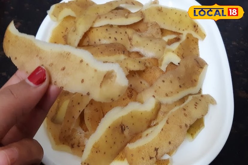 सौंदर्याव्यतिरिक्त, बटाट्याच्या साली घरातील बागकामात देखील उपयुक्त आहेत. साले वाळवा, त्यांची पावडर बनवा आणि कंपोस्टमध्ये घाला. यामुळे मातीची सुपीकता वाढते आणि झाडे हिरवीगार राहतात. हे सेंद्रिय खत झाडांना जलद वाढण्यास आणि अधिक फुले आणि फळे देण्यास मदत करते.