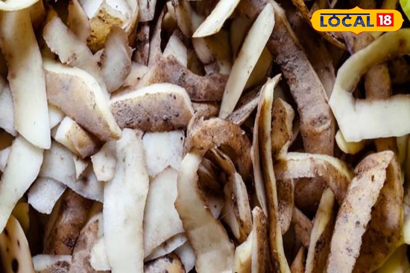 स्वयंपाकघरात स्वच्छतेसाठी बटाट्याच्या सालीचा वापर करता येतो. बटाट्याच्या सालीने घासल्याने स्टील आणि चांदीची भांडी चमकतात. हे नैसर्गिक क्लिनर म्हणून काम करते, महागडे रासायनिक पावडर खरेदी करण्याची गरज पडत नाही. 