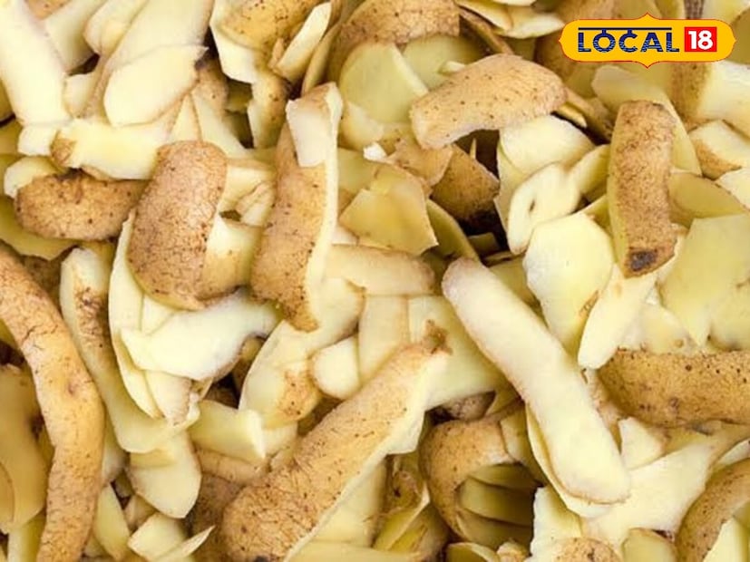 बटाट्याचा वापर प्रत्येक स्वयंपाकघरात केला जातो, परंतु त्यांची साली अनेकदा कचऱ्याच्या डब्यात टाकल्या जातात. मात्र बटाट्याची साल आरोग्य आणि सौंदर्यासाठी खजिना ठरू शकतात. त्यात लोह, कॅल्शियम आणि व्हिटॅमिन बी6 असते, जे रोगप्रतिकारक शक्ती वाढवते.