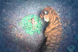 'कांतारा: चॅप्टर 1' OTT वर घालतोय धुमाकूळ, कधी आणि कुठे पाहता येणार?