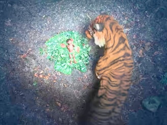 'कांतारा: चॅप्टर 1' OTT वर घालतोय धुमाकूळ, कधी आणि कुठे पाहता येणार?