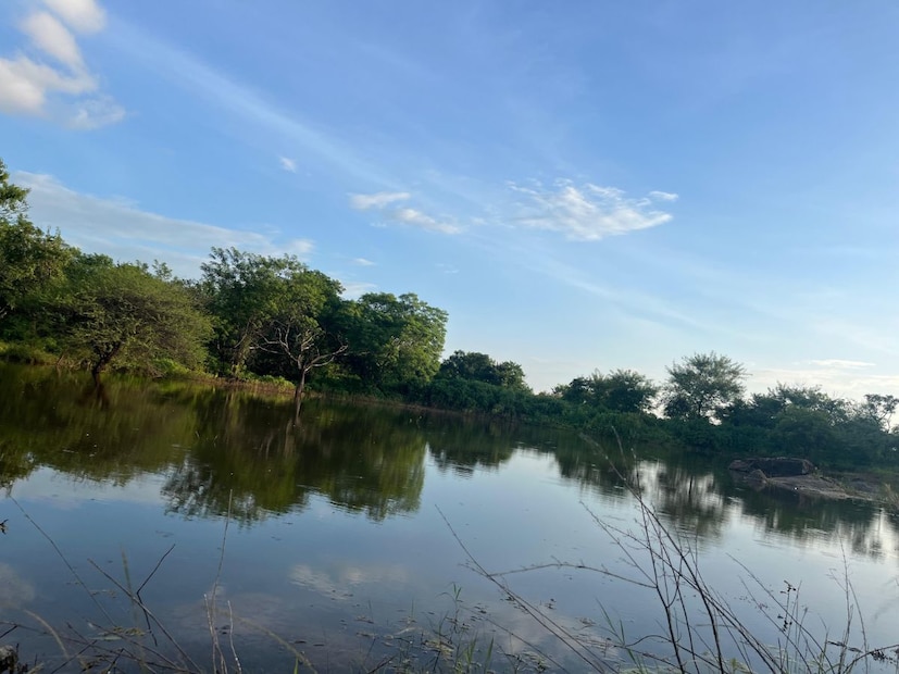  परतीच्या मॉन्सूनच्या प्रभावामुळे अरबी समुद्रातील कमी दाबाच्या पट्ट्याचा परिणाम कायम असल्याने, हिंगोली, नांदेड, लातूर आणि धाराशिव जिल्ह्यांत दुपारी 2 ते संध्याकाळी 5 वाजेपर्यंत 10-20 मिमी पाऊस पडण्याची शक्यता आहे.
