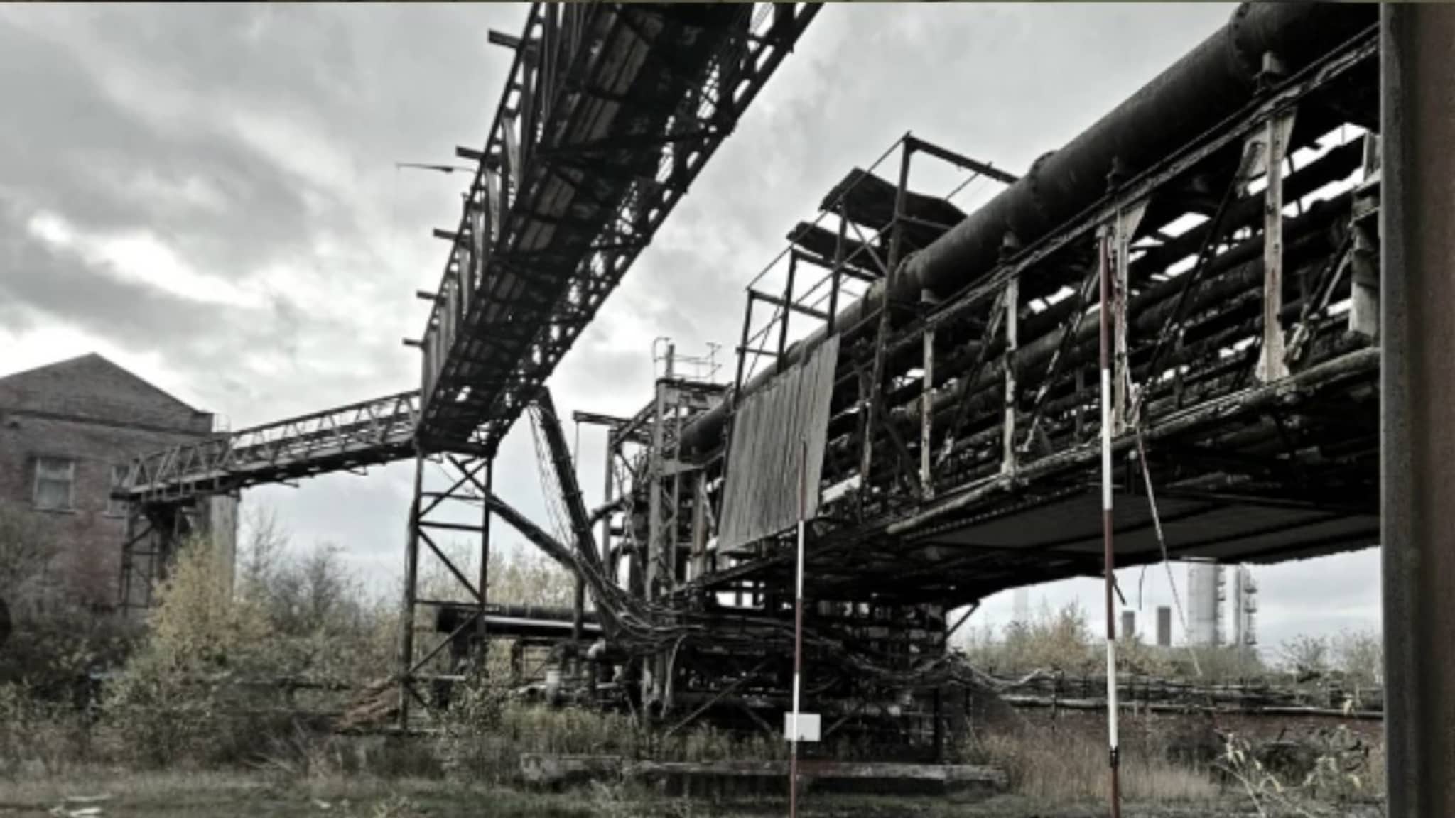 ओसाड ठिकाण, 20 वर्षे बंद कारखाना! आत गेली व्यक्ती आणि दिसलं असं काही प्रत्येक जण थक्क