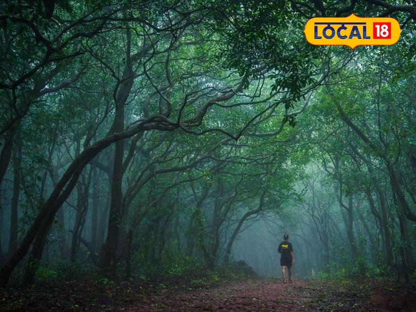  माथेरान- लहानापासून ते मोठ्या पर्यंत सर्वांना आवडणारे असे हे हिल स्टेशन आहे. मात्र तुम्ही कमी बजेटमध्ये हनीमूनचा प्लॅन नक्की बनवू शकता.मुंबई पासून साधारण 86 किमी हे अंतर आहे.