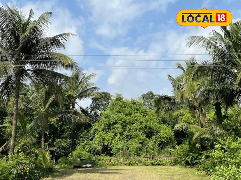  ओवळेकर वाडी बटरफ्लाय गार्डन- ओवळेकर वाडी बटरफ्लाय गार्डन हे ठाण्यातील एक प्रसिद्ध आणि सुंदर ठिकाण आहे. येथे कपल्सना निसर्गाच्या सान्निध्यात प्री-वेडिंग फोटोशूट नक्कीच करता येईल.