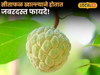 Winter Health : हिवाळ्यात सीताफळ खाल्ल्याने होतात जबरदस्त फायदे! मात्र 'या' लोकांनी जरा जपूनच खा