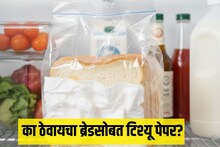 Kitchen Tip : फ्रिजमध्ये ब्रेडसोबत टिश्यू पेपर का ठेवतात? कारण ऐकून म्हणाल, 'हे कोणी आधी का सांगितलं नाही'