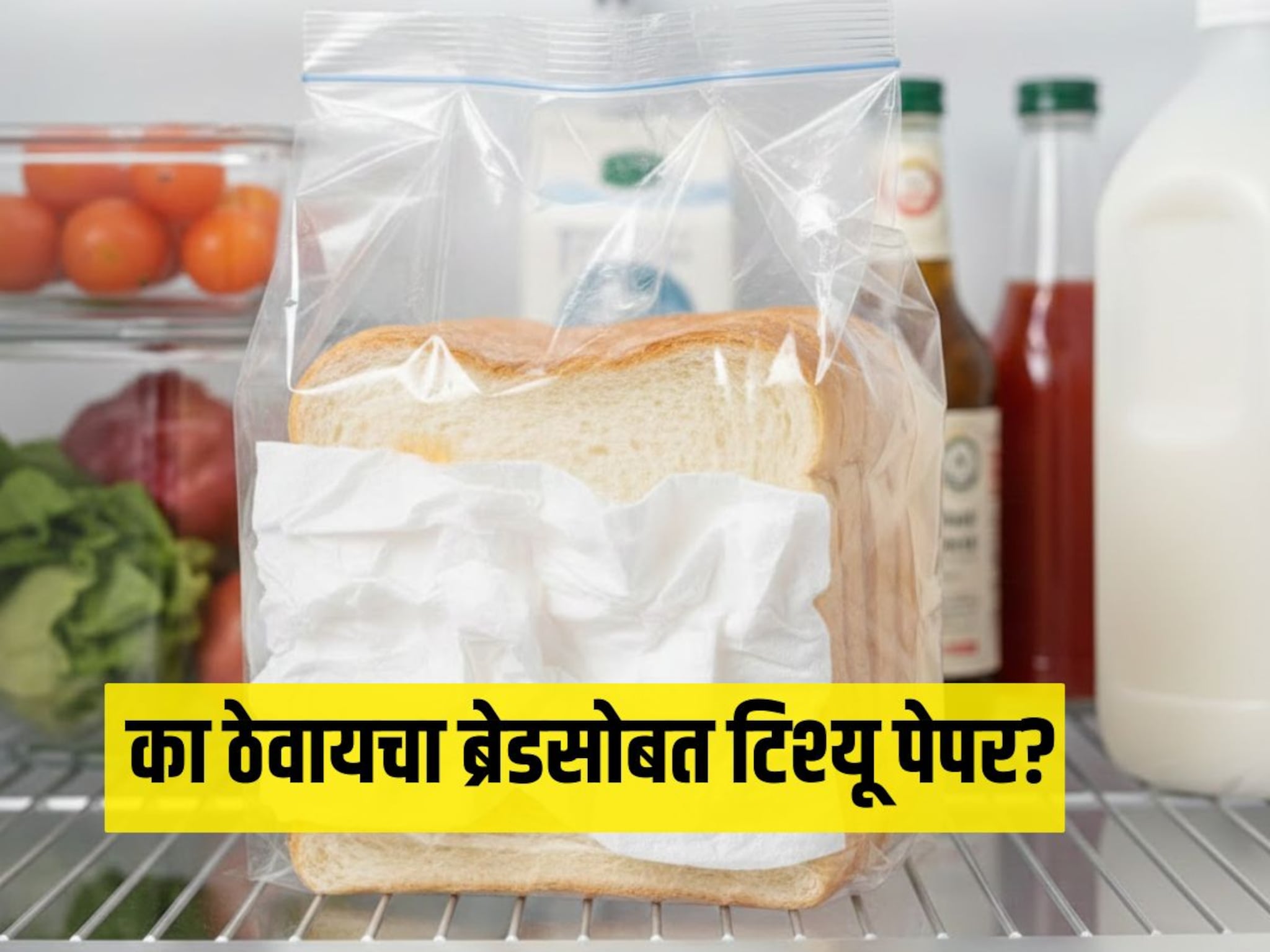 Kitchen Tip : फ्रिजमध्ये ब्रेडसोबत टिश्यू पेपर का ठेवतात? कारण ऐकून म्हणाल, 'हे कोणी आधी का सांगितलं नाही'