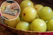 Amla Recipe : आवळ्याचं लोणचं, चटणी, मुरांबा तर बनवताच; आता बनवून पाहा नेल्लीकाई सद्दाम