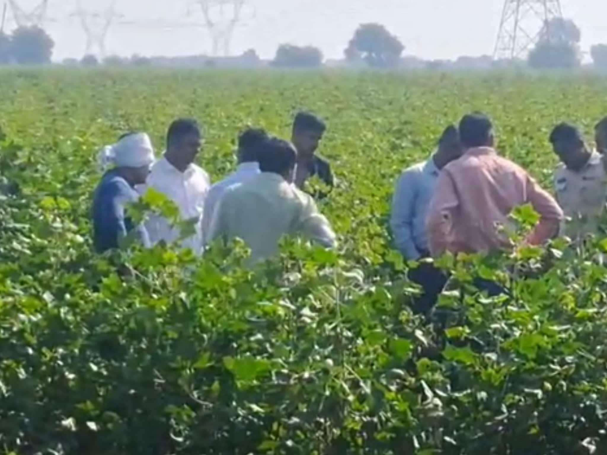 हत्या करून मृतदेह फेकला, हातावरचा 'टॅटू' पेट्रोलने पेटवला, अमरावतीच्या शेतात कोणाचा मर्डर?