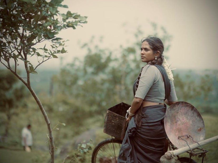  राजा राजा गाण्याबाबत बोलताना संगीतकार हितेश मोडक म्हणाले की,"युट्युबसाठी काहीच limitations नाही आहेत म्हणून मी या प्लॅटफॉर्ममार्फत काहीतरी वेगळं करण्याचा प्रयत्न 'हितेश मोडक ओरिजिनल्स' मार्फत केला. आपल्या दिग्गजानी संगीतात जे कार्य केलं आहे त्याला व्हिडीओचे स्वरूप देण्याचा माझा प्रयत्न आहे. अगदी सिनेमासारखं गाण्याचं शूट हवं आहे त्यामुळे त्याचा विचारही तितकाच मोठा पाहिजे. जातीवरुन समाजात बरेचदा चर्चा होते त्यामुळे या मुद्द्याने मला उत्स्फूर्त केलं आणि मी 'राजा राजा' हे गाणं बनवलं. हे ब्रेकअप सॉंग आहे. भावना दुखावल्यानंतर एक मुलगी काय करु शकते, ते या गाण्यातील डान्समधून मांडलं आहे. अमृताने हे गाणं खूप अडथळ्यांचा सामना करत पार केलं आहे".