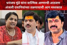 धनंजय मुंडेंना वाल्मिक अण्णाची आठवण, अंजली दमानियांच्या तळपायाची आग मस्तकात, 'चपलांचे हार घातले पाहिजेत!'