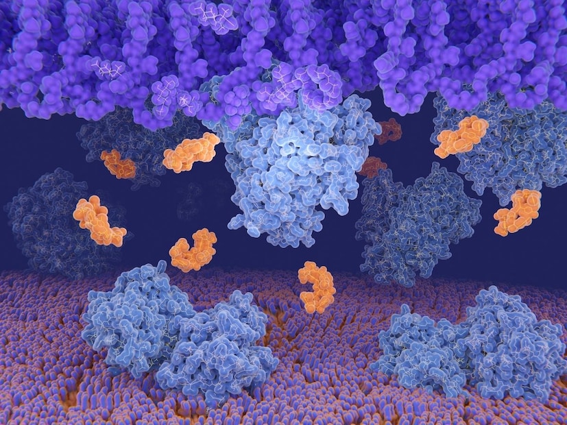 हे संकट म्हणजे अँटिबायोटिक्स रेजिस्टंट.  अँटिबायोटिक्स बॅक्टेरियांना मारणारं औषध आणि जेव्हा बॅक्टेरियांवर या औषधांचाही परिणाम होत नाही त्याला अँटिबायोटिक्स रेजिस्टंट म्हणतात. बॅक्टेरिया औषध ओळखून स्वतःमध्ये बदल करतात त्यामुळे नंतर त्या औषधाचा त्यांच्यावर काहीही परिणाम होत नाही. देशातील आयसीयूमध्ये आधीच 40-60 टक्के प्रकरण अँटिबायोटिक्स रेजिस्टंटची आहेत.