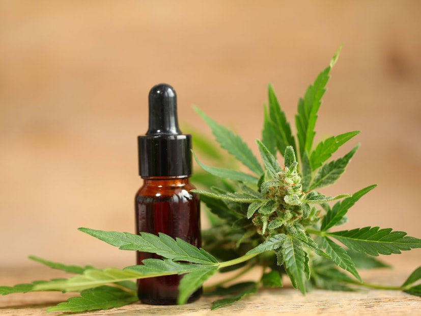 2. साखर आणि रक्तातील ग्लुकोज (Sugar and Blood Glucose)भांग खाल्ल्यानंतर, काही लोकांमध्ये रक्तातील साखरेची पातळी (Blood Glucose Level) तात्पुरती कमी होऊ शकते. अशा वेळी गोड खाल्ल्याने त्वरित साखर वाढते, पण यानंतर पुन्हा ती लवकर खाली येते, ज्यामुळे आळस (Lethargy), थकवा आणि भांगेच्या नशेत अधिक गोंधळलेलं (Disoriented) वाटू शकतं.