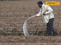 शेतात खत टाकताना पाण्याचे सांभाळा, नाहीतर होईल मोठे नुकसान! पाहा योग्य प्रमाण..