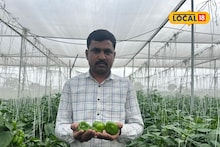 Success Story : मिरचीने आयुष्यात आणला गोडवा! 20 गुंठ्यात 5 लाख रुपयांचं उत्पन्न, शेतकरी झाला लखपती!