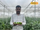 मिरचीने आयुष्यात आणला गोडवा! 20 गुंठ्यात 5 लाख उत्पन्न, शेतकरी झाला लखपती!