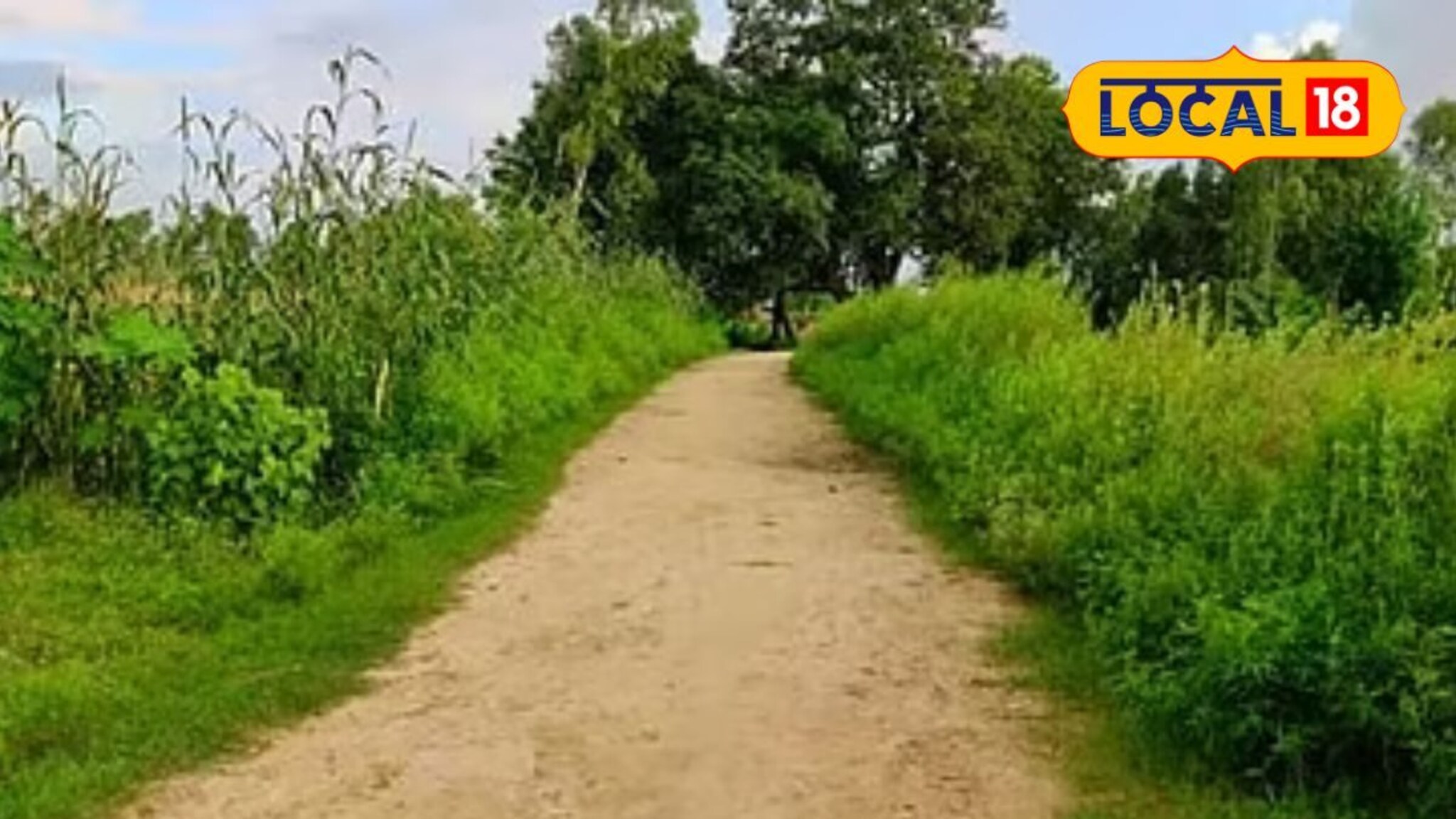 Chhatrapati Sambhajinagar : 12 दिवसांपासून काहीच जाणलं नाही, मात्र शेतातून येणाऱ्या दुर्गंधीचा मागोवा घेतला अन् समोर आलं थरकाप उडवणारं दृश्य