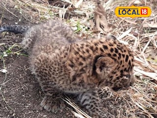 Chhatrapati sambhajinagar News Chhatrapati sambhajinagar News