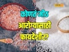 काळे की पांढरे कोणते मीठ आरोग्यासाठी फायदेशीर? तज्ज्ञांनी सांगितली सविस्तर माहिती, Video