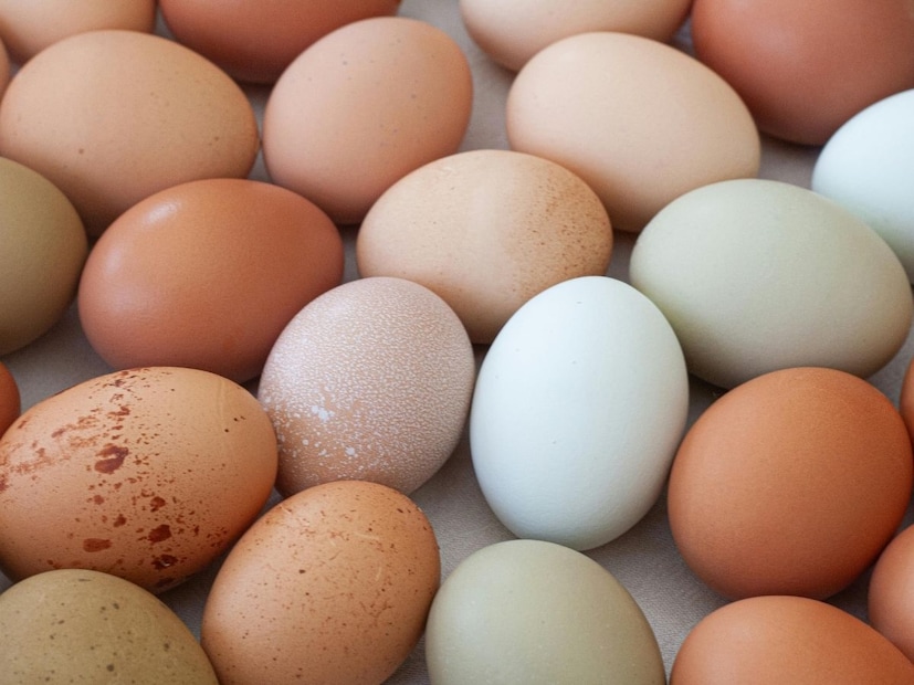 पांढऱ्या अंड्यांना कृत्रिमरित्या रंगवून देशी अंडी म्हणून विकली जात होती. रंगासाठी कात, चहापावडर आणि सिंदूर यांचा वापर केला जात होता. अन्न पथकाच्या मते अंड्यांचा पृष्ठभाग देशी अंड्यांसारखा रंग देण्यासाठी कृत्रिम रंग वापरण्याची ही पद्धत बेकायदेशीर आहे. याचा ग्राहकांच्या आरोग्यावर विपरीत परिणाम होऊ शकतो. जर ते खाल्ले तर संसर्ग, ऍलर्जी आणि पोटाशी संबंधित समस्या होण्याची शक्यता असते.