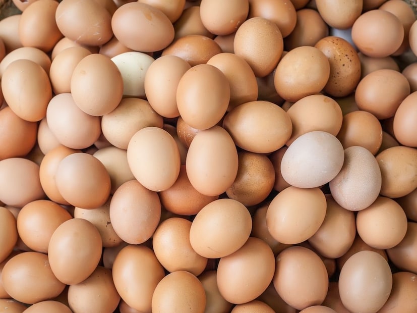 साध्या पांढऱ्या अंड्याला सिंदूर लावून देशी अंडं बनवलं जात आहे. अन्न सुरक्षा विभागाने उत्तर प्रदेशच्या मुरादाबादमधील गोदामावर छापा टाकला आणि हा प्रकार उघडकीस आला. गुरुवारी शहरातील रामपूर दोराहा, बरवारा माजरा येथील एका गोदामावर हा छापा टाकण्यात आला. 4.53 लाख रंगीत अंडी आणि 3.56 लाख पांढरी अंडी जप्त करण्यात आली आहेत. अंड्यांची अंदाजे किंमत सुमारे 3.89 लाख इतकी होती.